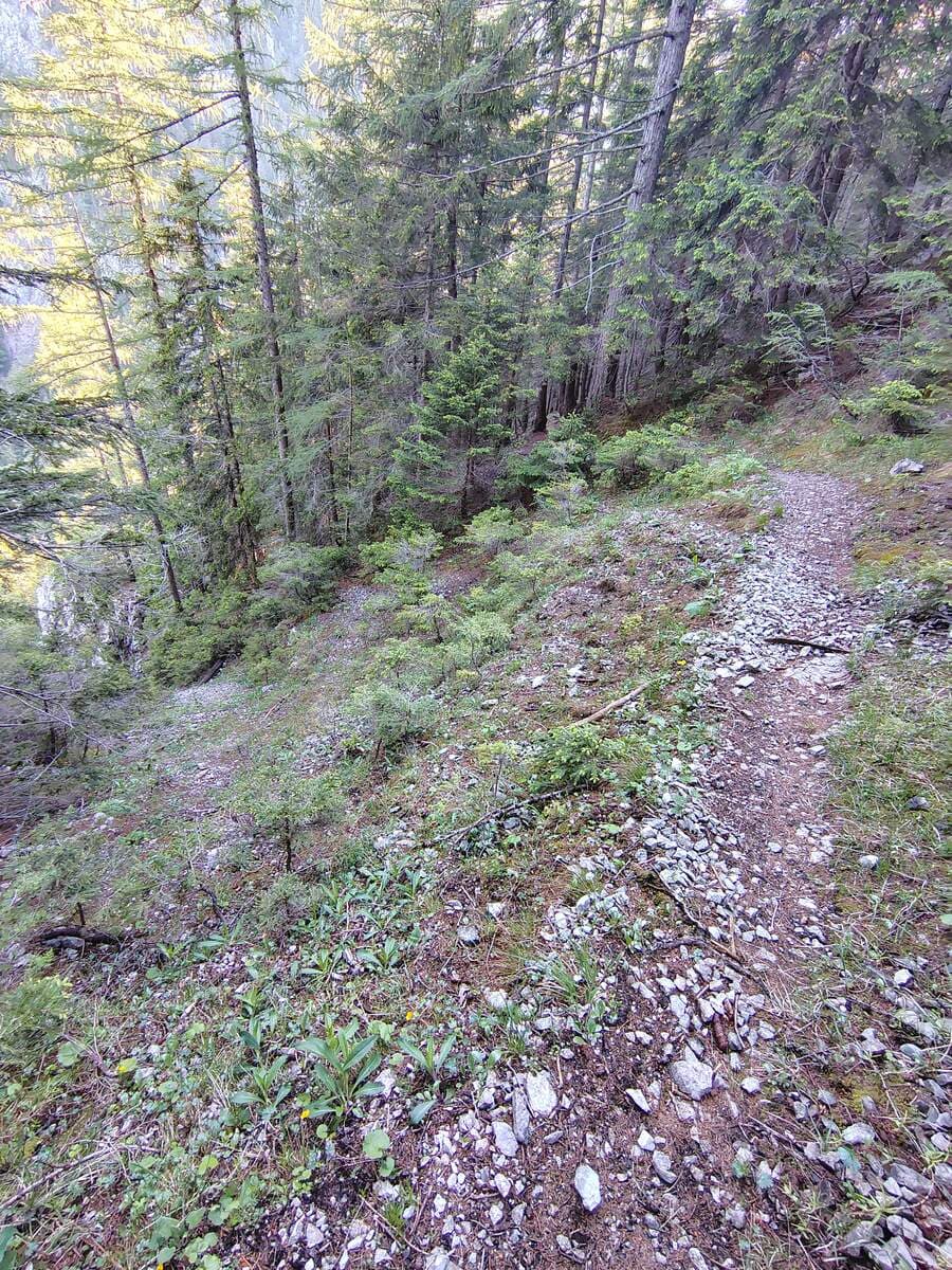 Verlauf