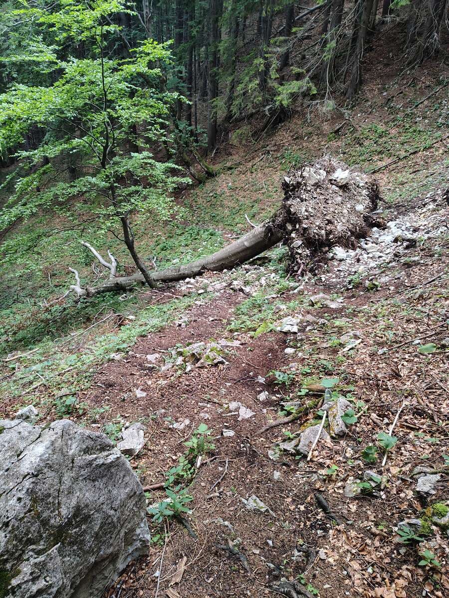 Ein kleines Hindernis