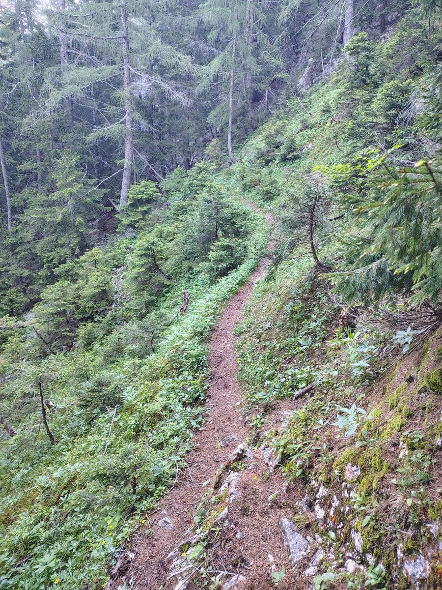 Verlauf