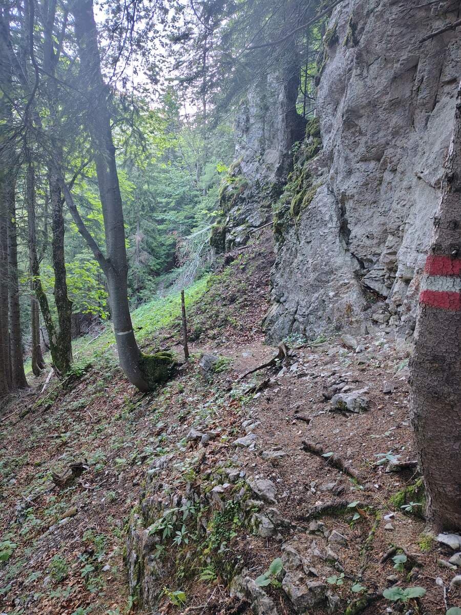 Verlauf