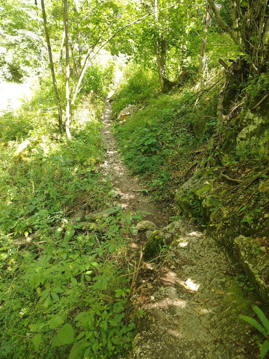 Weiterweg nach der Versicherung