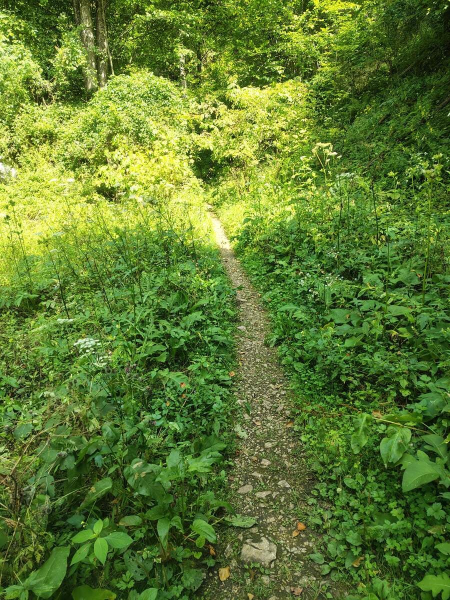 Verlauf