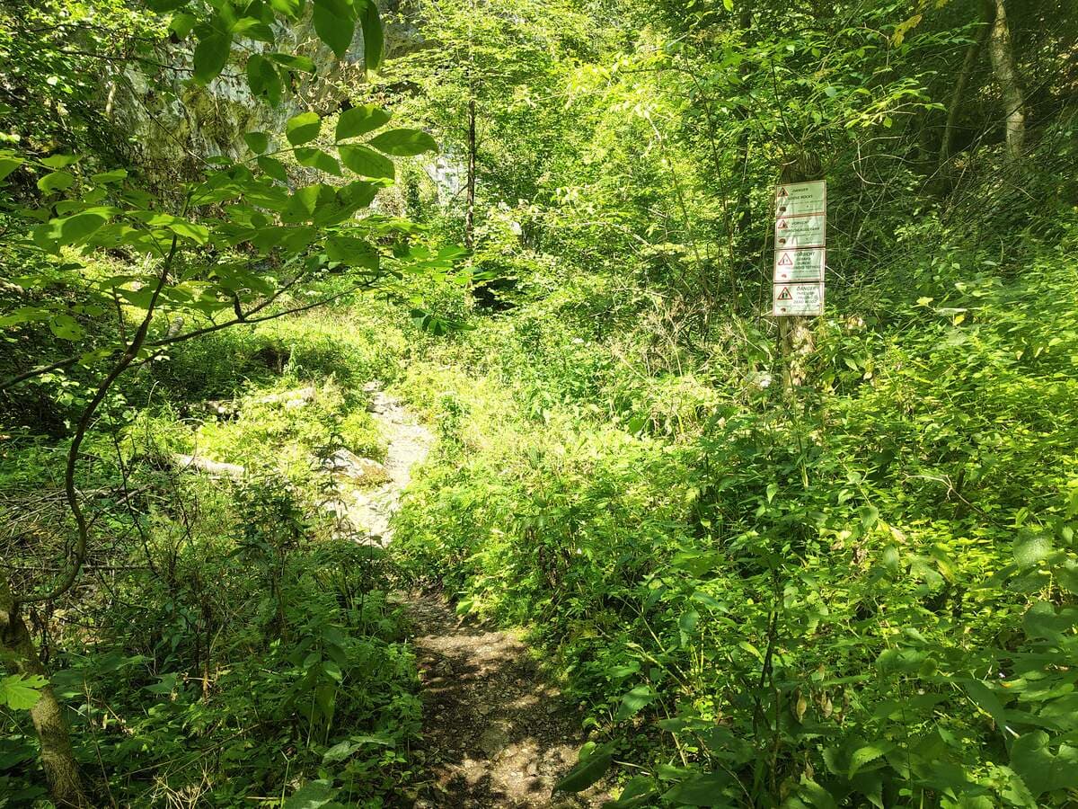 Verlauf; rechts das Warnschild für Steinschlag und Totholz