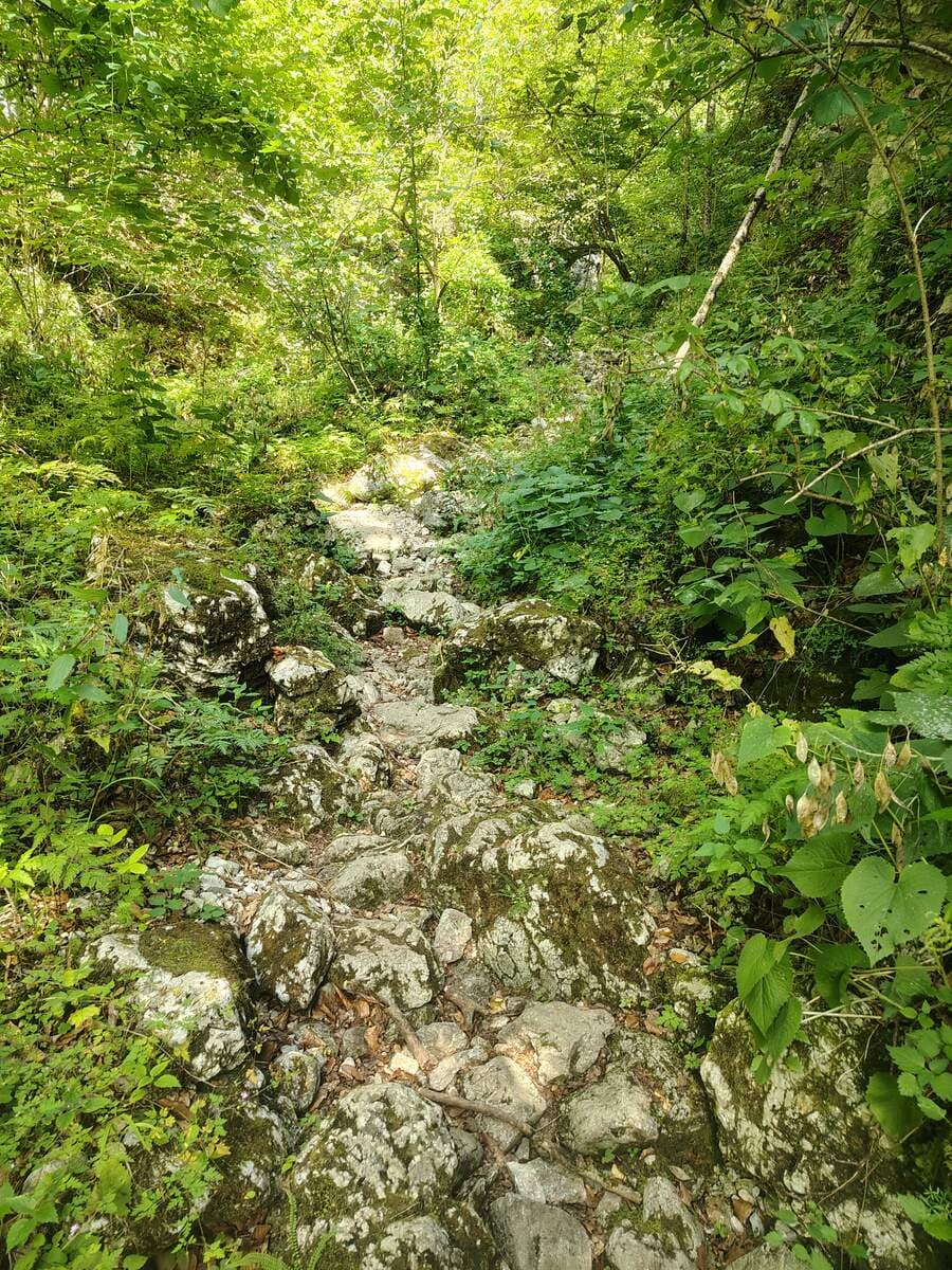 Verlauf