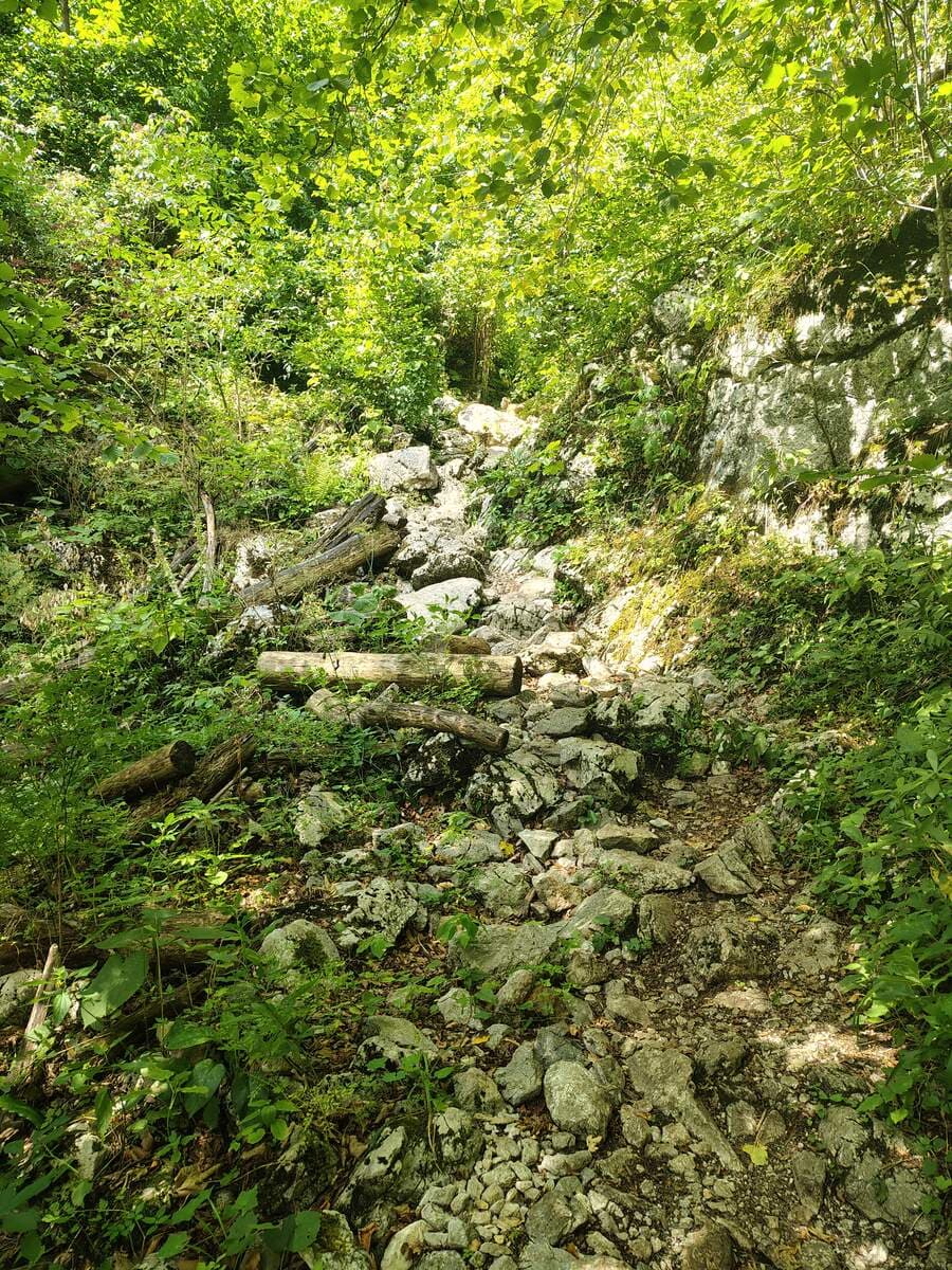 Verlauf