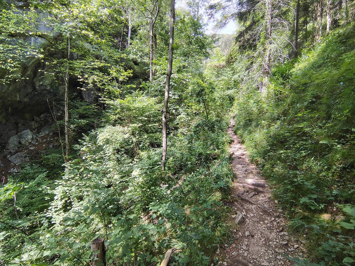 Verlauf, links unten das Bachbett