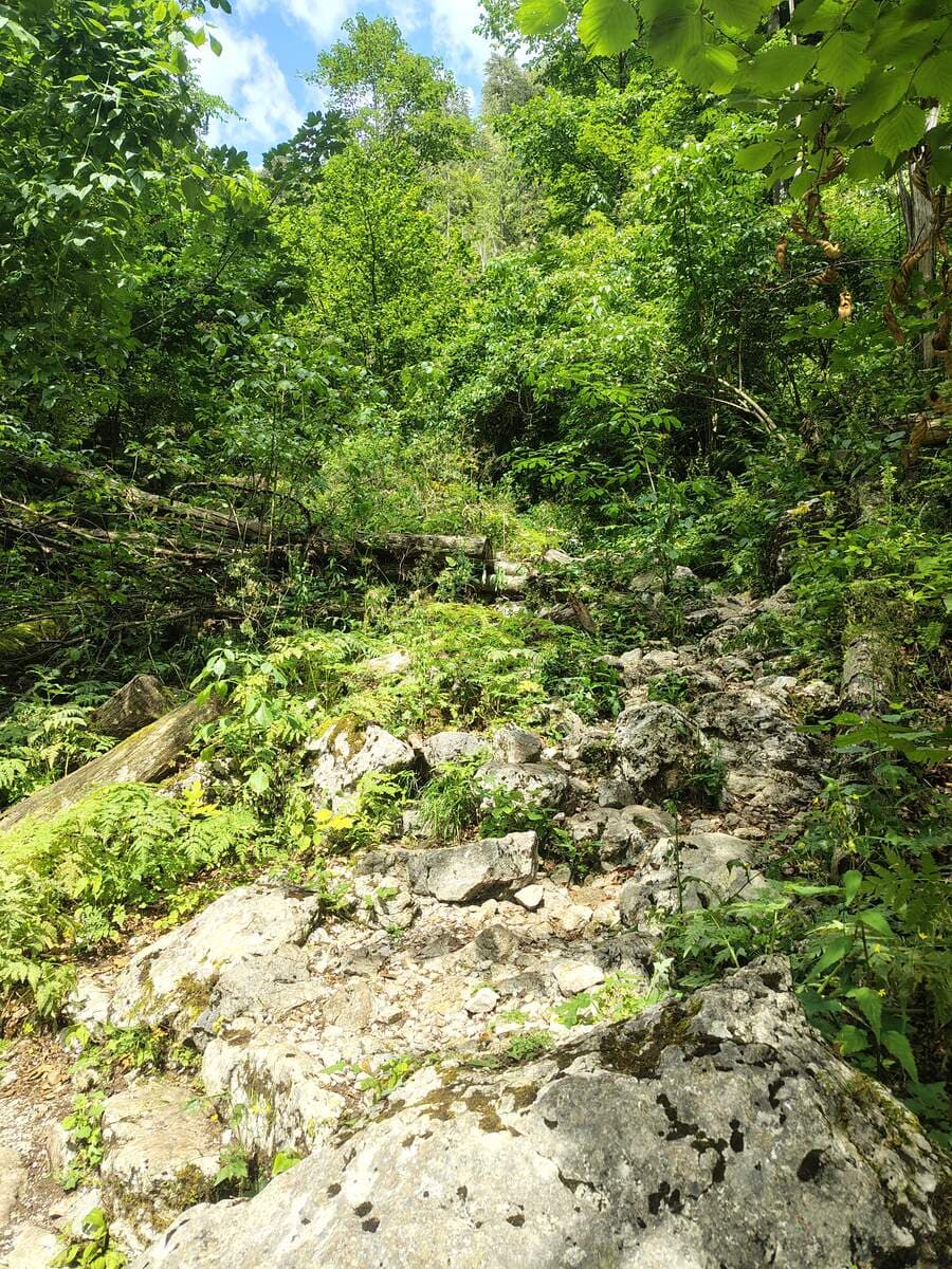 Verlauf