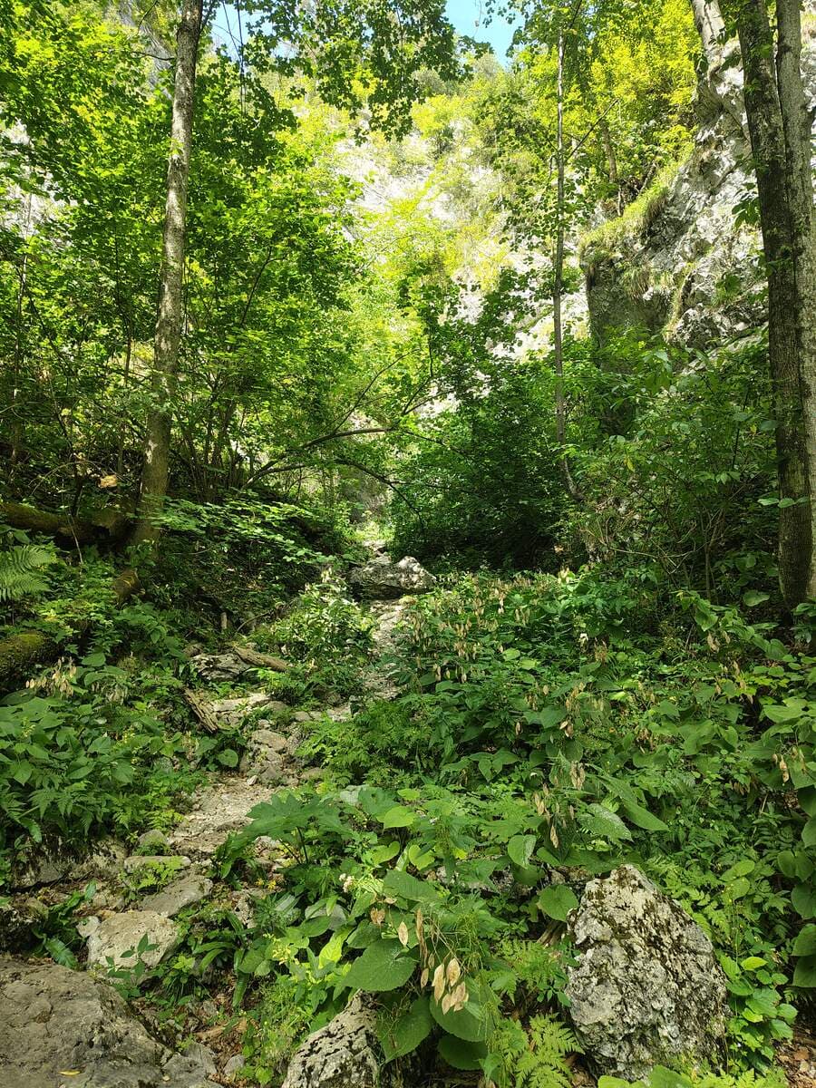 Verlauf, dahinter beginnt die erste Klamm, weiter oben ist der Ferdinand-Mayr-Weg