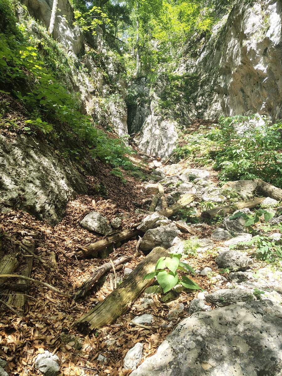Verlauf