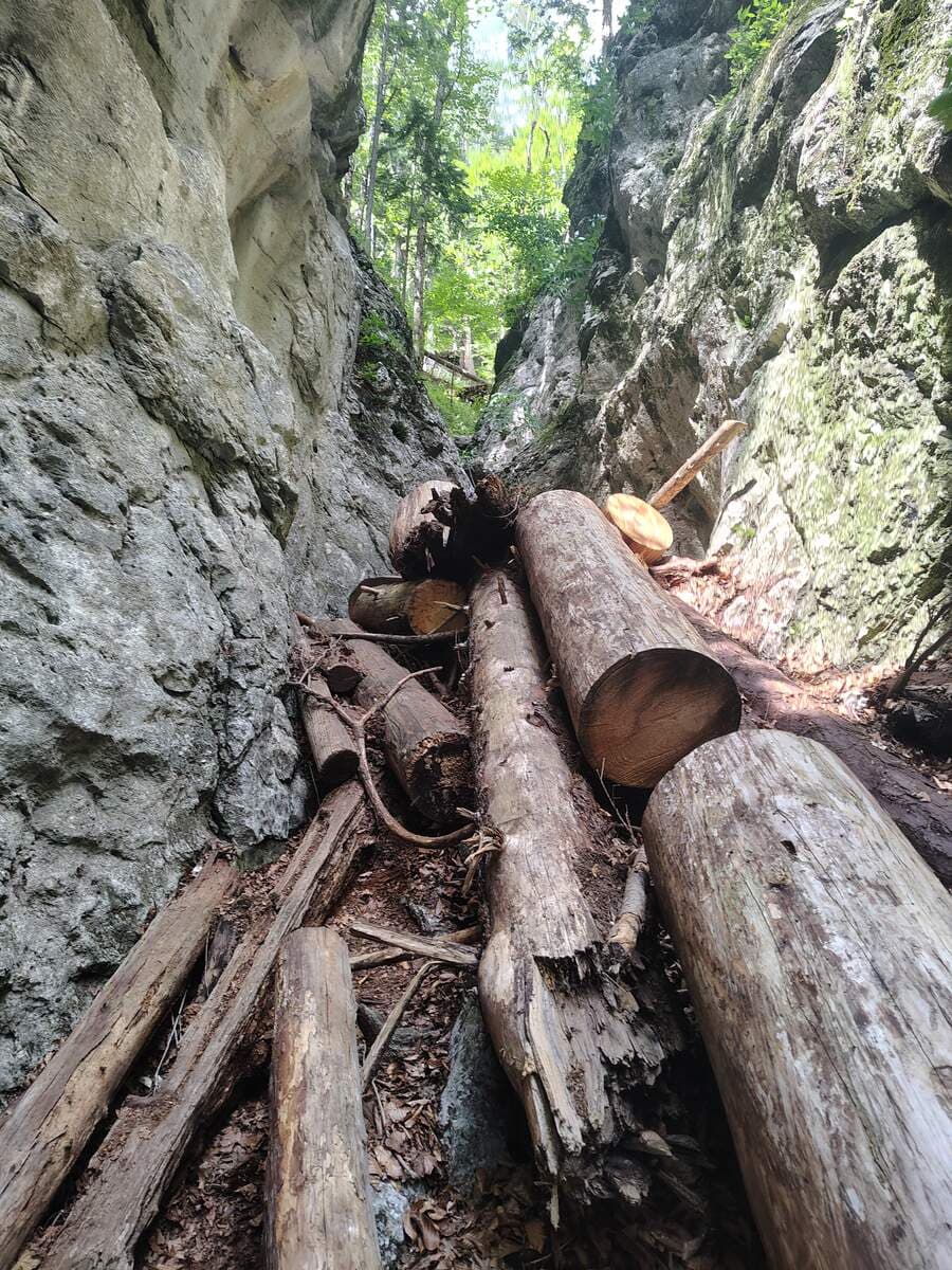 Verlauf, viel Holz