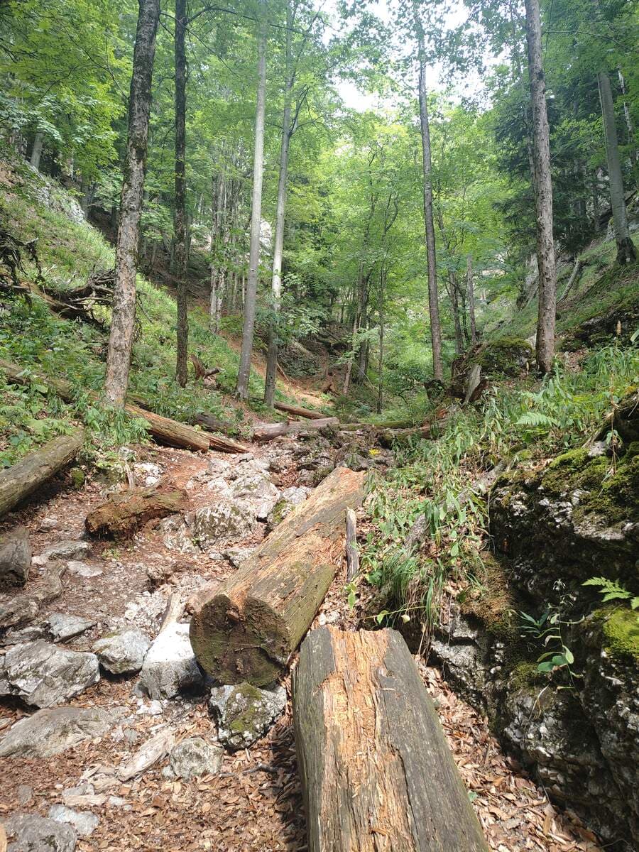 Verlauf