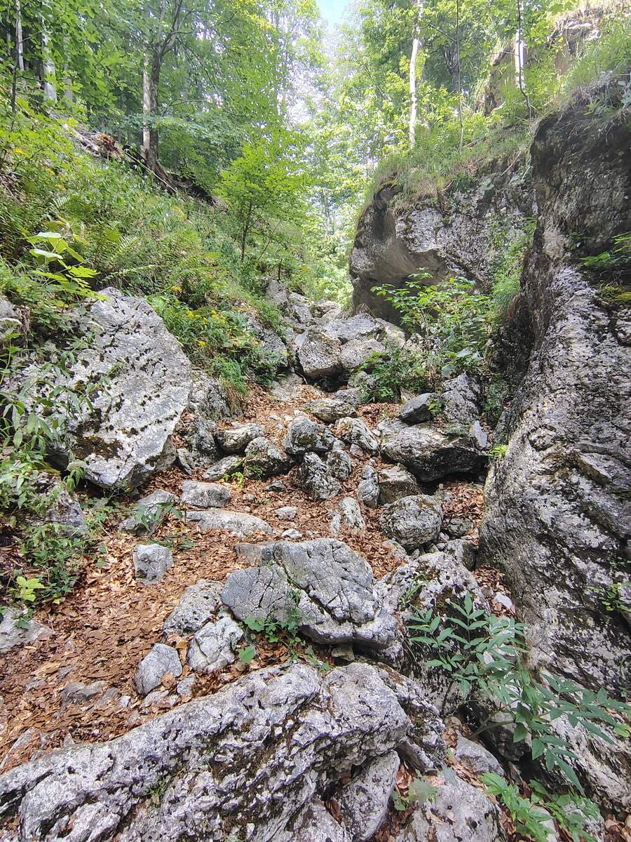 Verlauf