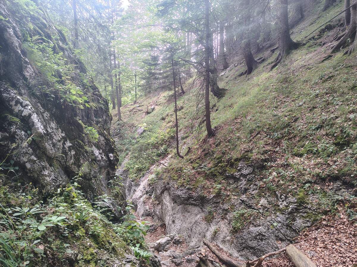 Rückblick