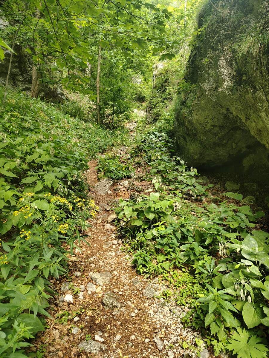 Verlauf nach dem Felsen