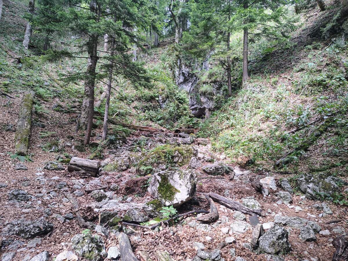 Verlauf