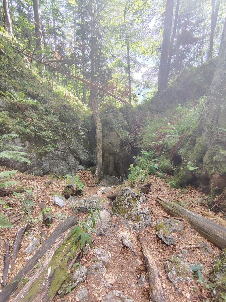 Rückblick beim Ausgang