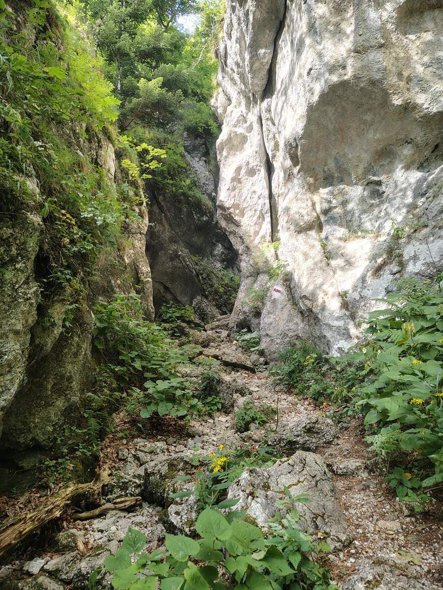 Verlauf
